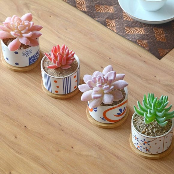 4 Ceramic Planters for Cactus Succulent with Drainage Hole & Bamboo Saucers 3" - Picture 3 of 6